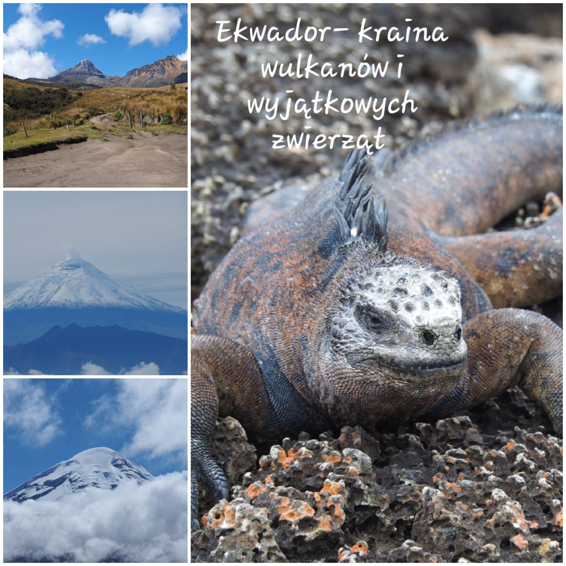 Ekwador 1