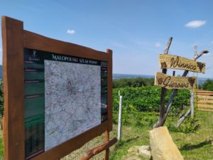 WINNICA GIEROWA 300x225