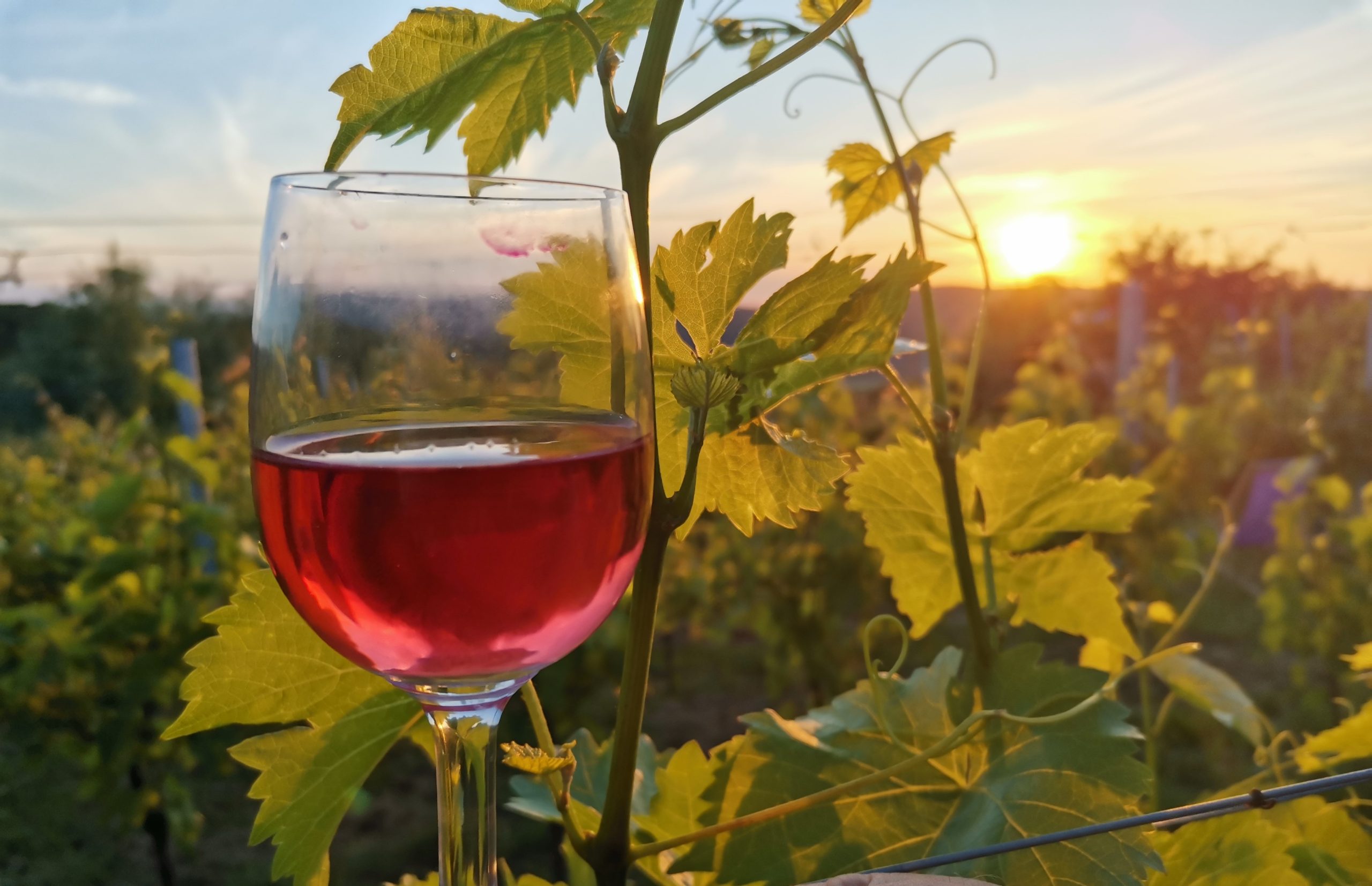 kieliszek gierowa 1 scaled