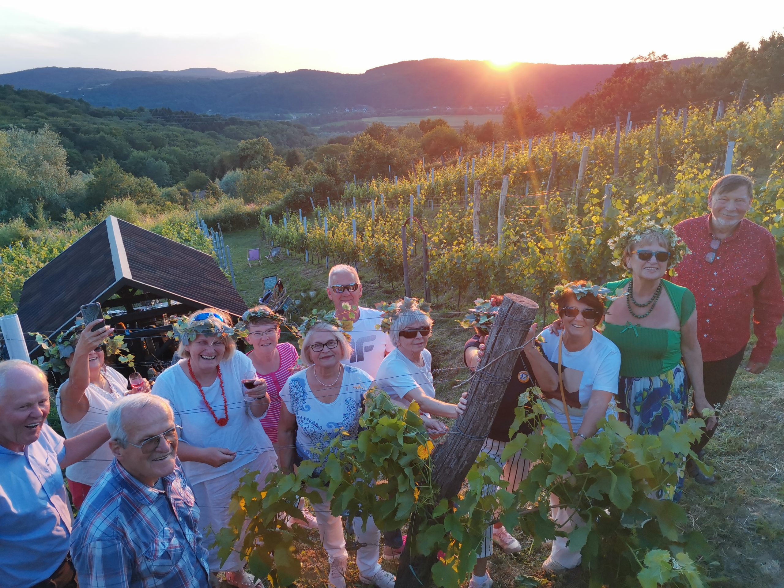 winnica grupowe 1 scaled