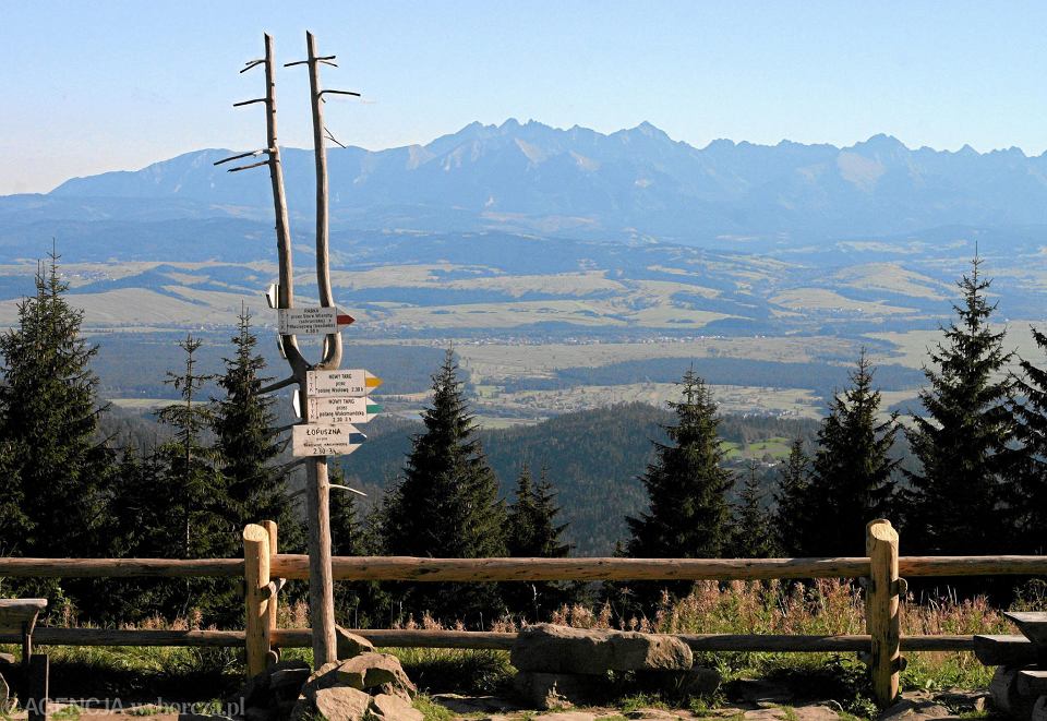 z26983561VGorce widok na Tatry