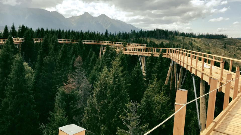 ścieżka na koronami